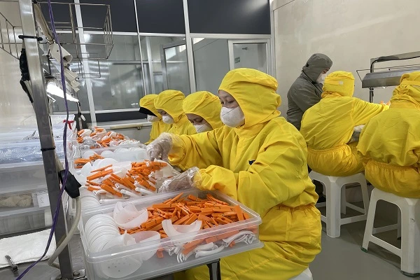 pt agrika gatya arum proses perapihan